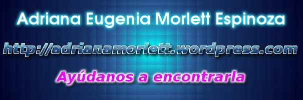Banner de búsqueda de Adriana Morlett Espinoza